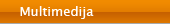 Multimedija